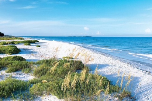 Beach in Tampa, Florida