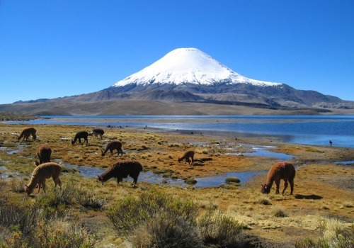 Chile